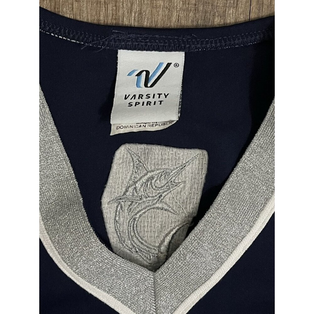 3 Pc High School Cheerleader Uniform AHS 32 Top 25" Skirt Blue Cheer Costume - Picture 3 of 7